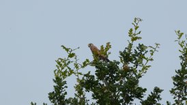 2017 vakantie tiendeveen 234